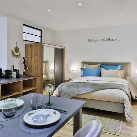 Studio Des 3 Chateaux Husseren-les-Châteaux Eksteriør billede
